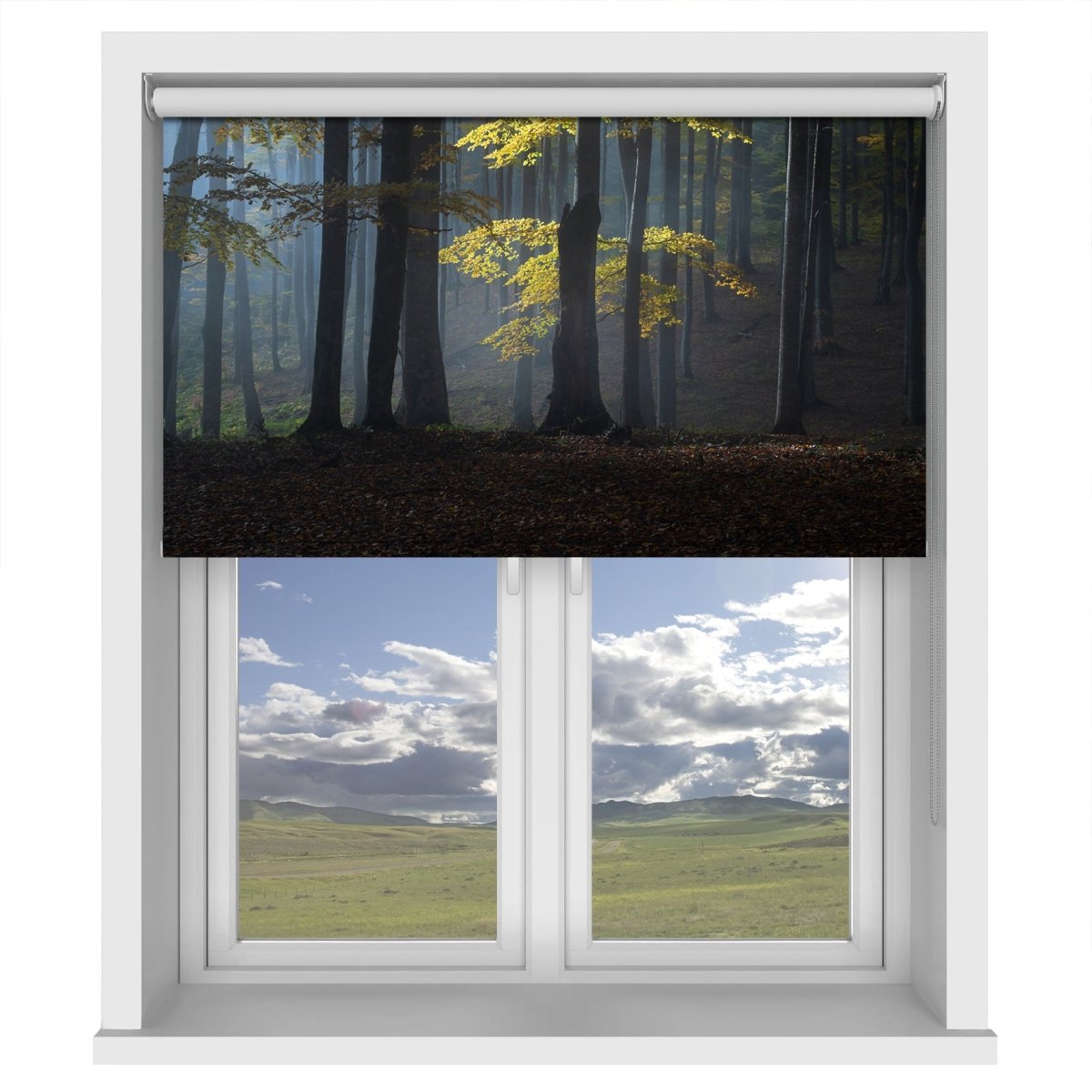 Foggy Forest Printed Picture Photo Roller Blind - 1X2263351 - Art Fever - Art Fever