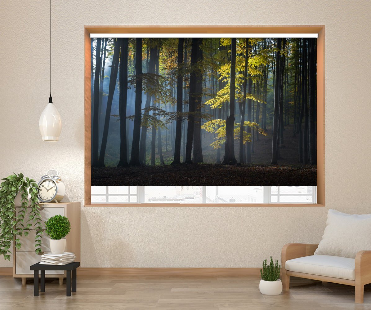 Foggy Forest Printed Picture Photo Roller Blind - 1X2263351 - Art Fever - Art Fever