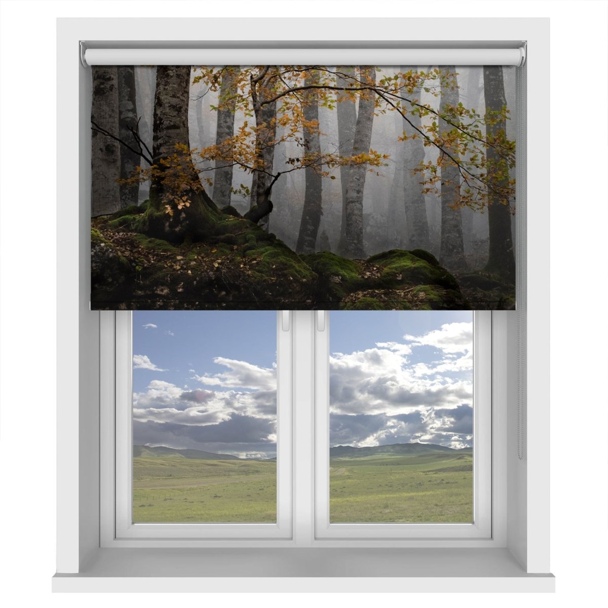 Foggy Mist Through the Woods Printed Picture Photo Roller Blind - 1X2261104 - Art Fever - Art Fever
