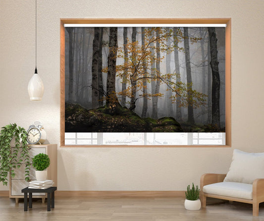 Foggy Mist Through the Woods Printed Picture Photo Roller Blind - 1X2261104 - Art Fever - Art Fever