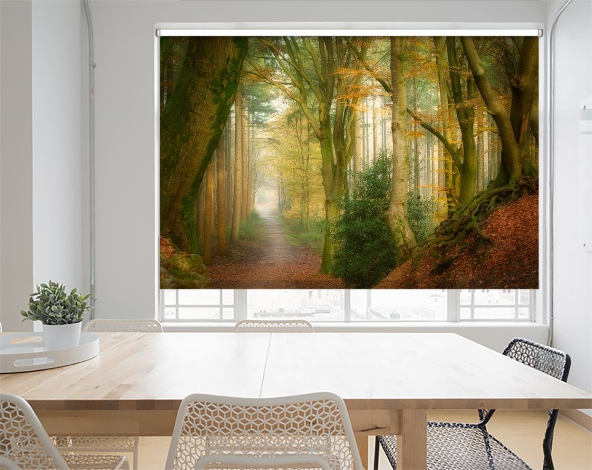 Following Fog Printed Picture Photo Roller Blind - 1X1722206 - Art Fever - Art Fever