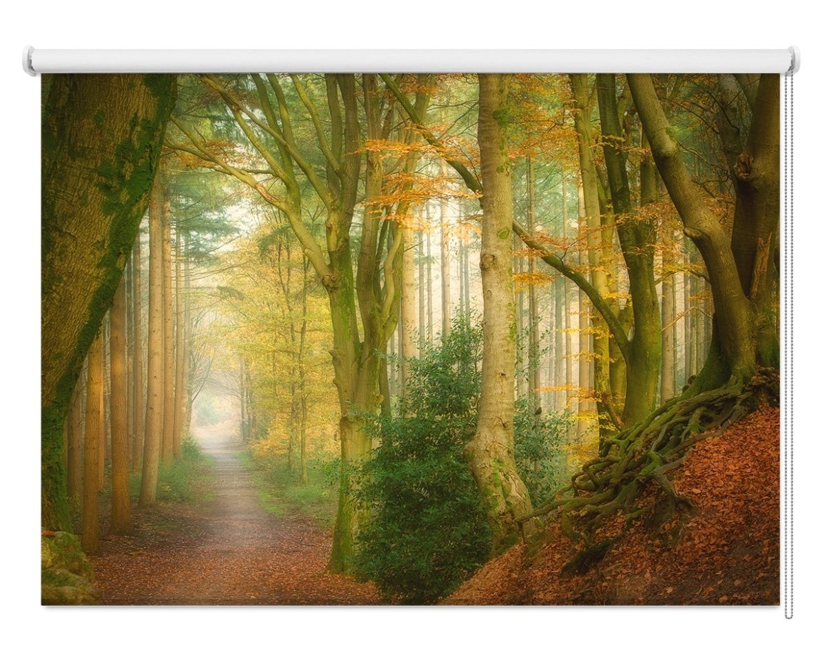 Following Fog Printed Picture Photo Roller Blind - 1X1722206 - Art Fever - Art Fever