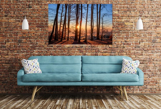 Forest Landscape Image Printed Onto A Single Panel Canvas - SPC94 - Art Fever - Art Fever