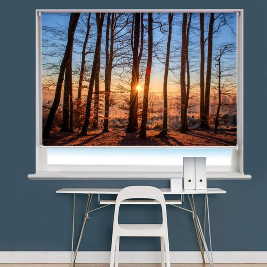 Forest Landscape Scene Image Printed Roller Blind - RB834 - Art Fever - Art Fever