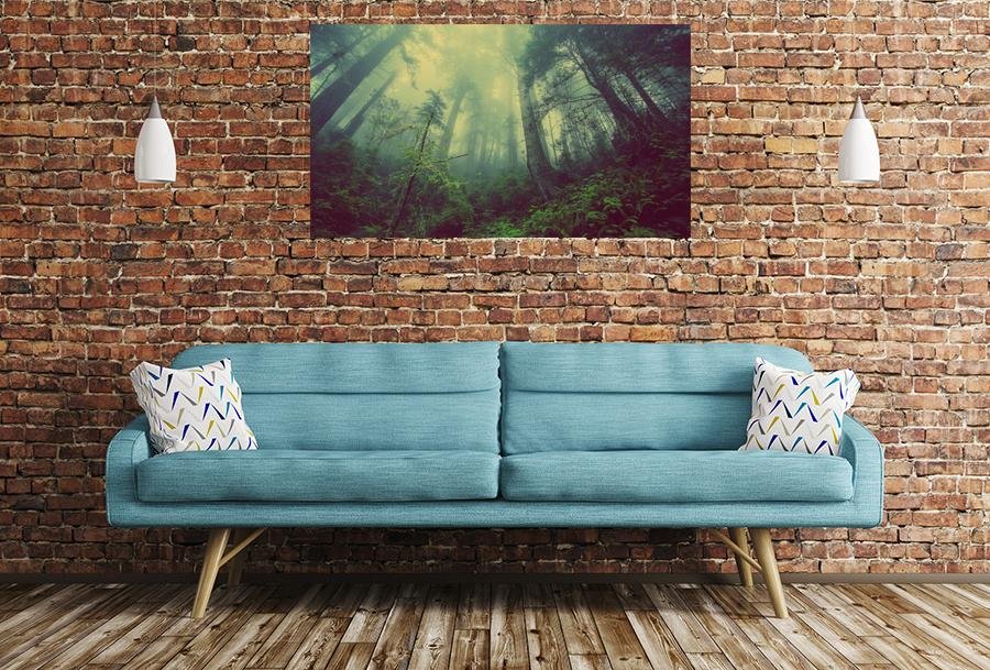 Forest Mist Nature Trees Scene Image Printed Onto A Single Panel Canvas - SPC92 - Art Fever - Art Fever