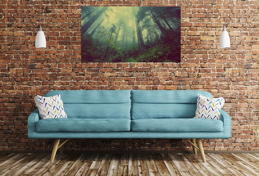 Forest Mist Nature Trees Scene Image Printed Onto A Single Panel Canvas - SPC92 - Art Fever - Art Fever