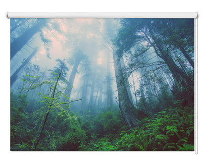 Forest Mist Nature Trees Scene Image Printed Roller Blind - RB832 - Art Fever - Art Fever