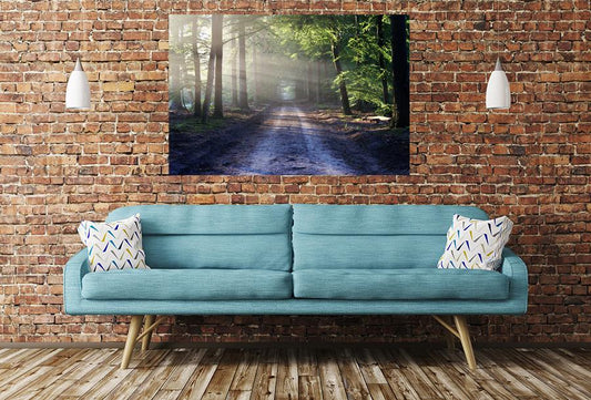 Forest Path Image Printed Onto A Single Panel Canvas - SPC67 - Art Fever - Art Fever