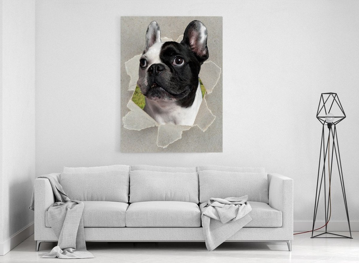 French Bulldog through the Canvas Canvas Print Peeking Dog