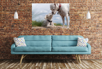 Your Own Pet Animal Photo/Image Printed Onto A Single Panel Canvas - SPC06 - Art Fever