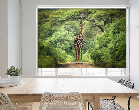 Giraffe in The Jungle Printed Picture Photo Roller Blind- 1X941733 - Art Fever - Art Fever