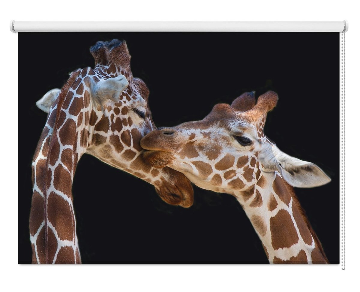 Giraffe Kiss Printed Picture Photo Roller Blind- 1X228944 - Art Fever - Art Fever
