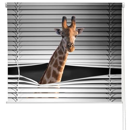 Giraffe Peeking through the blind Printed Picture Photo Roller Blind - RB713 - Art Fever - Art Fever