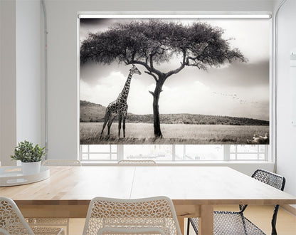 Giraffe Under the African Sun Printed Picture Photo Roller Blind - 1X121027 - Art Fever - Art Fever