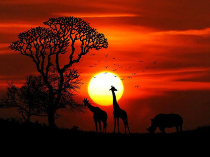 Giraffes under the African Sun Printed Picture Photo Roller Blind - RB678 - Art Fever - Art Fever