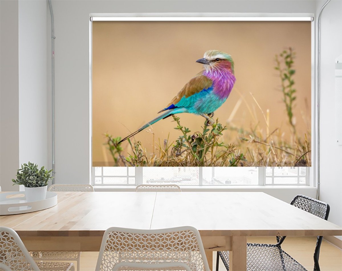 God's Gift To The Sky Printed Picture Photo Roller Blind- 1X1109969 - Art Fever - Art Fever
