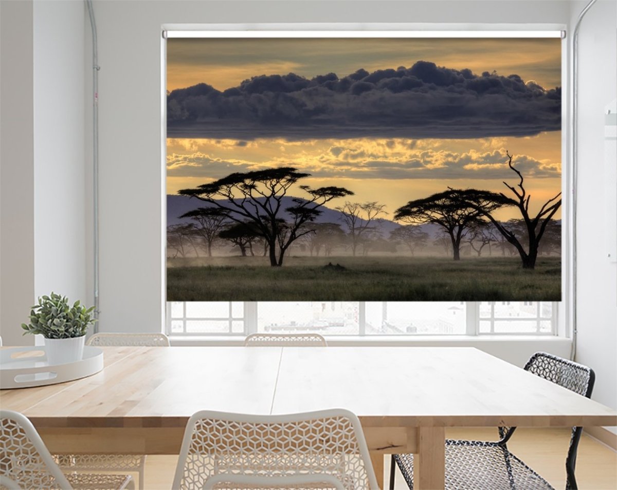 Good Evening Tanazania Printed Picture Photo Roller Blind- 1X33690 - Art Fever - Art Fever