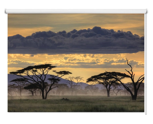 Good Evening Tanazania Printed Picture Photo Roller Blind- 1X33690 - Art Fever - Art Fever