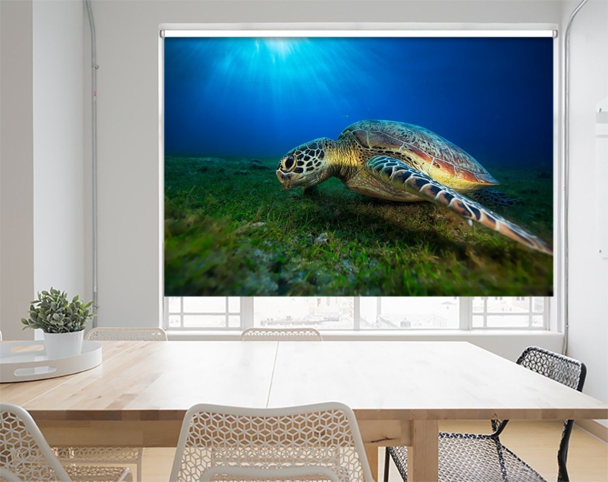 Green Turtle Underwater Printed Picture Photo Roller Blind - 1X1088795 - Art Fever - Art Fever