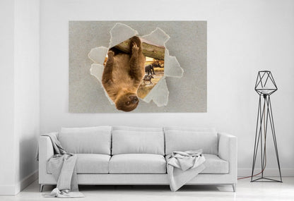 Hanging Sloth Peeking through the Canvas Animal Scene Printed Canvas Print Picture - SPC193 - Art Fever - Art Fever