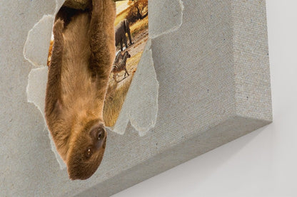 Hanging Sloth Peeking through the Canvas Animal Scene Printed Canvas Print Picture - SPC193 - Art Fever - Art Fever