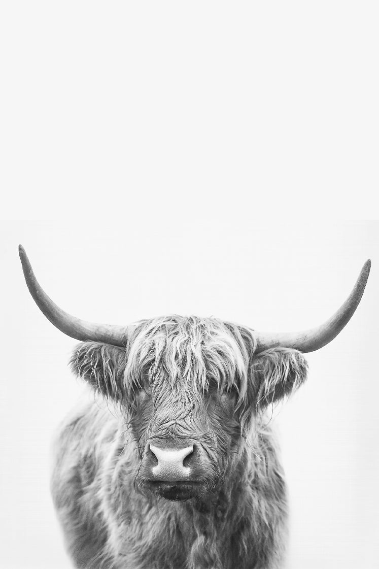 Highland Bull Printed Picture Photo Roller Blind - 1X2381969 - Art Fever - Art Fever