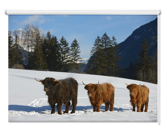 Highlander Cattle in Snow Mountain Scene Picture Photo Roller Blind - RB1095 - Art Fever - Art Fever
