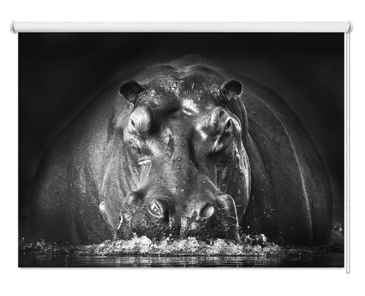 Hippo Water Splash Printed Picture Photo Roller Blind - 1X1057589 - Art Fever - Art Fever