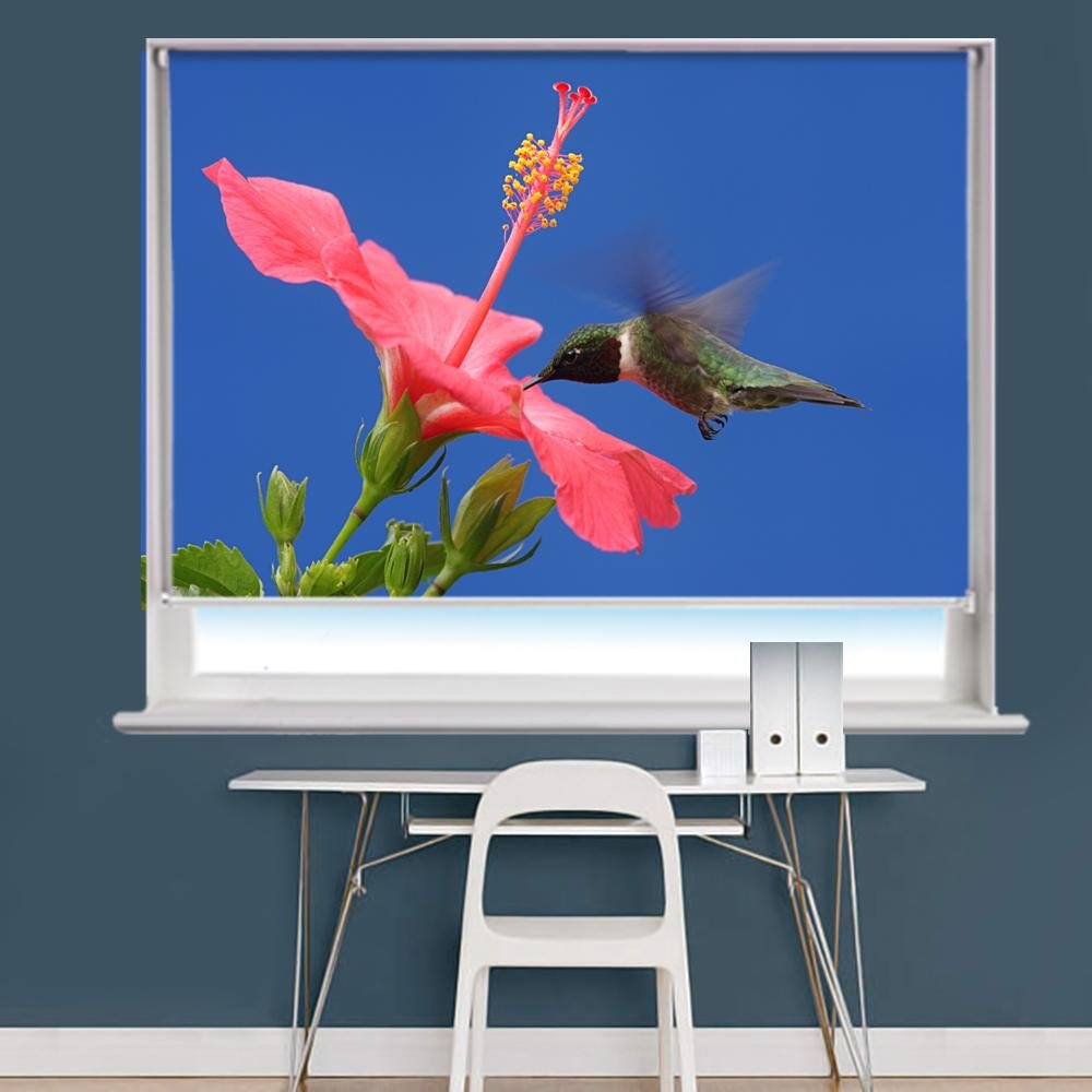 Hummingbird Image Printed Roller Blind - RB973 - Art Fever - Art Fever