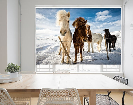 Icelandic Horses Printed Picture Photo Roller Blind - 1X732493 - Art Fever - Art Fever