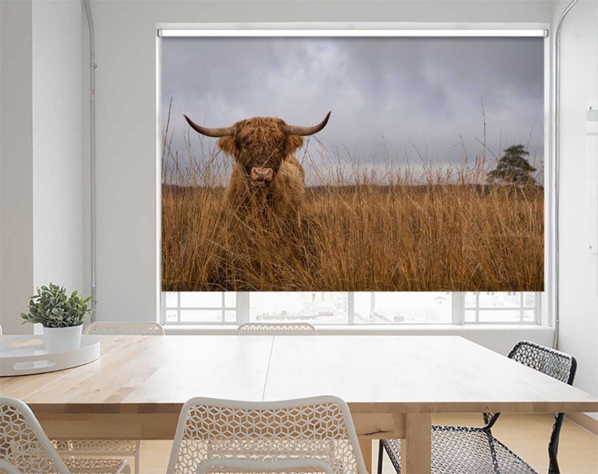 It Wasn't Me - Highland Cow Printed Picture Photo Roller Blind - 1X1251011 - Art Fever - Art Fever