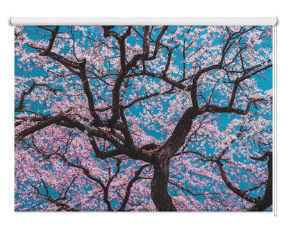 Japanese Cherry Blossom Tree Printed Photo Roller Blind - 1X2047250 - Art Fever - Art Fever