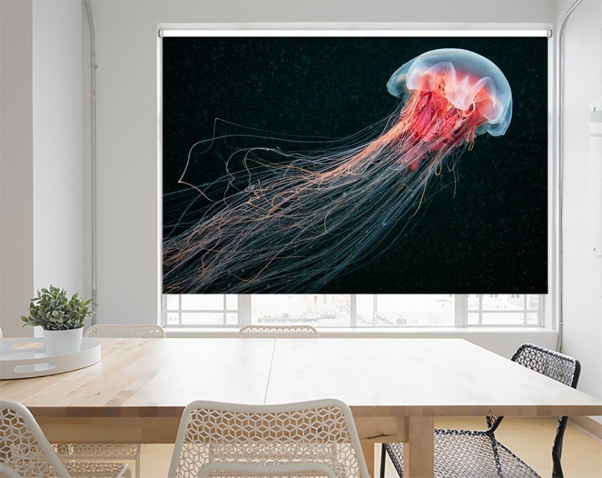 Jellyfish Printed Picture Photo Roller Blind- 1X37981 - Art Fever - Art Fever