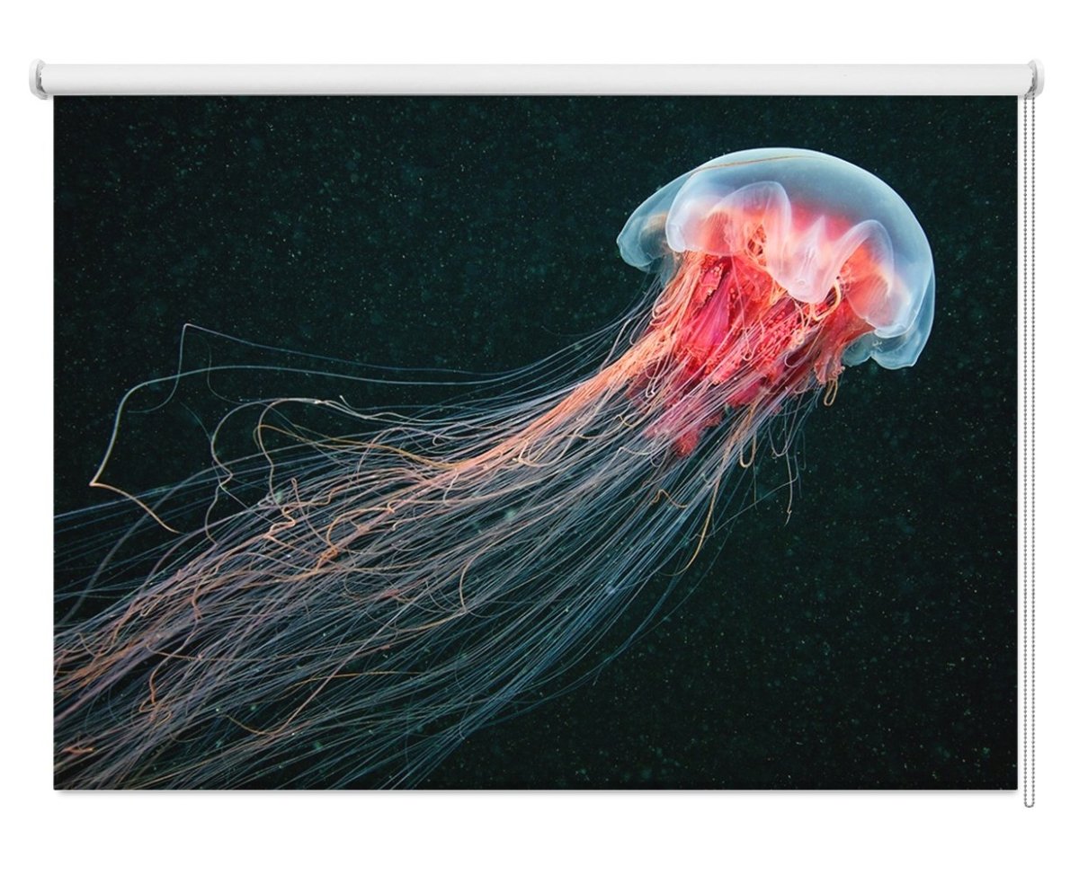 Jellyfish Printed Picture Photo Roller Blind- 1X37981 - Art Fever - Art Fever