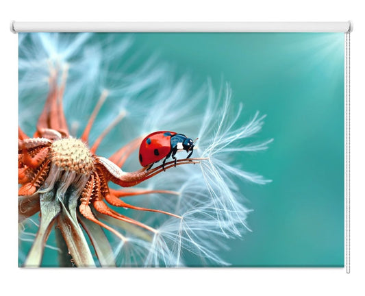 Ladybird Close Up Printed Picture Photo Roller Blind- 1X1150879 - Art Fever - Art Fever