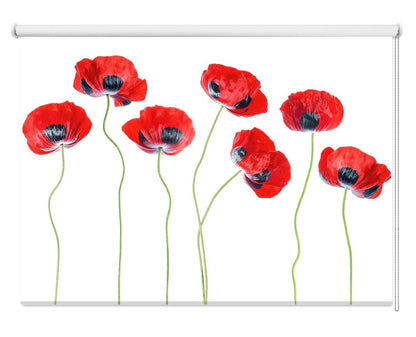 Ladybird Poppies Printed Picture Photo Roller Blind - 1X1321086 - Art Fever - Art Fever