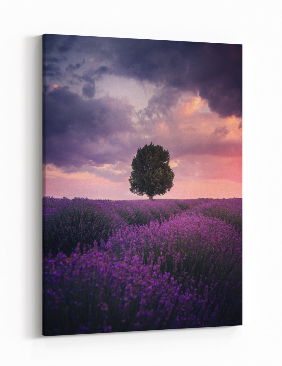 Lavender Fields, Isparta Canvas Print Wall Art - 1X1954277 - Art Fever - Art Fever