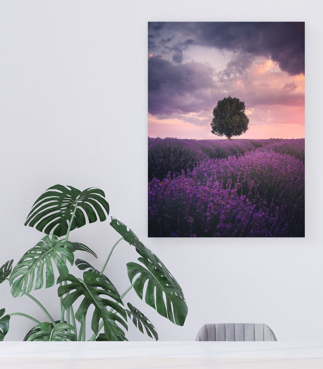 Lavender Fields, Isparta Canvas Print Wall Art - 1X1954277 - Art Fever - Art Fever