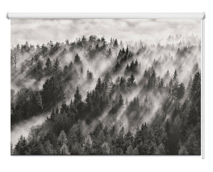 Light rays through Pine Tree Forest Printed Picture Photo Roller Blind - 1X1119651 - Art Fever - Art Fever