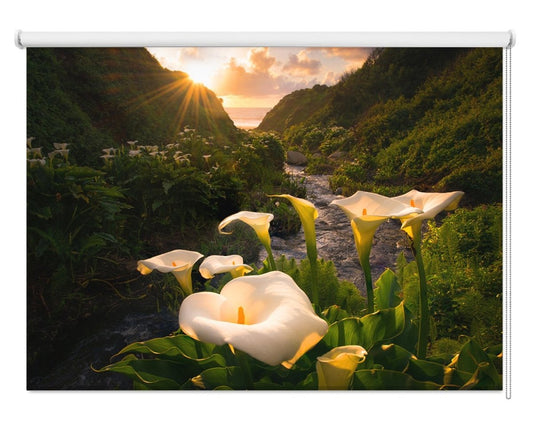 Lilies in California Printed Picture Photo Roller Blind- 1X1862976 - Art Fever - Art Fever