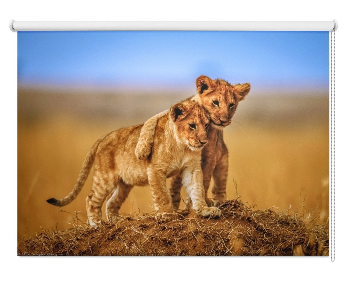 Lion Cubs Embrace Printed Picture Photo Roller Blind - 1X539461 - Art Fever - Art Fever