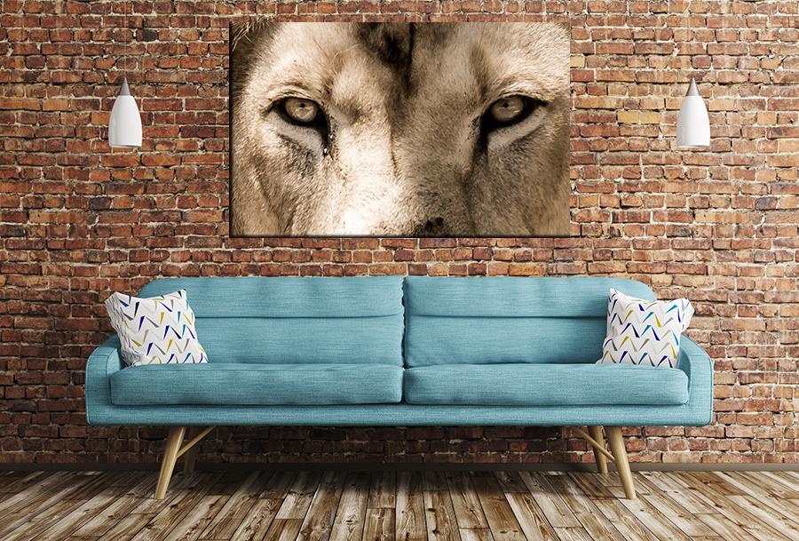 Lion Eyes Image Printed Onto A Single Panel Canvas - SPC114 - Art Fever - Art Fever