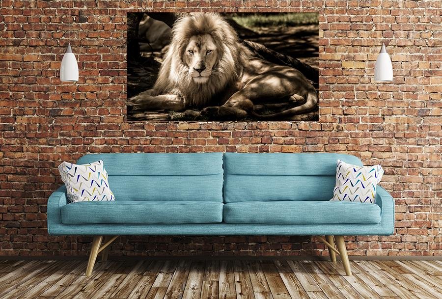 Lion Image Printed Onto A Single Panel Canvas - SPC112 - Art Fever - Art Fever