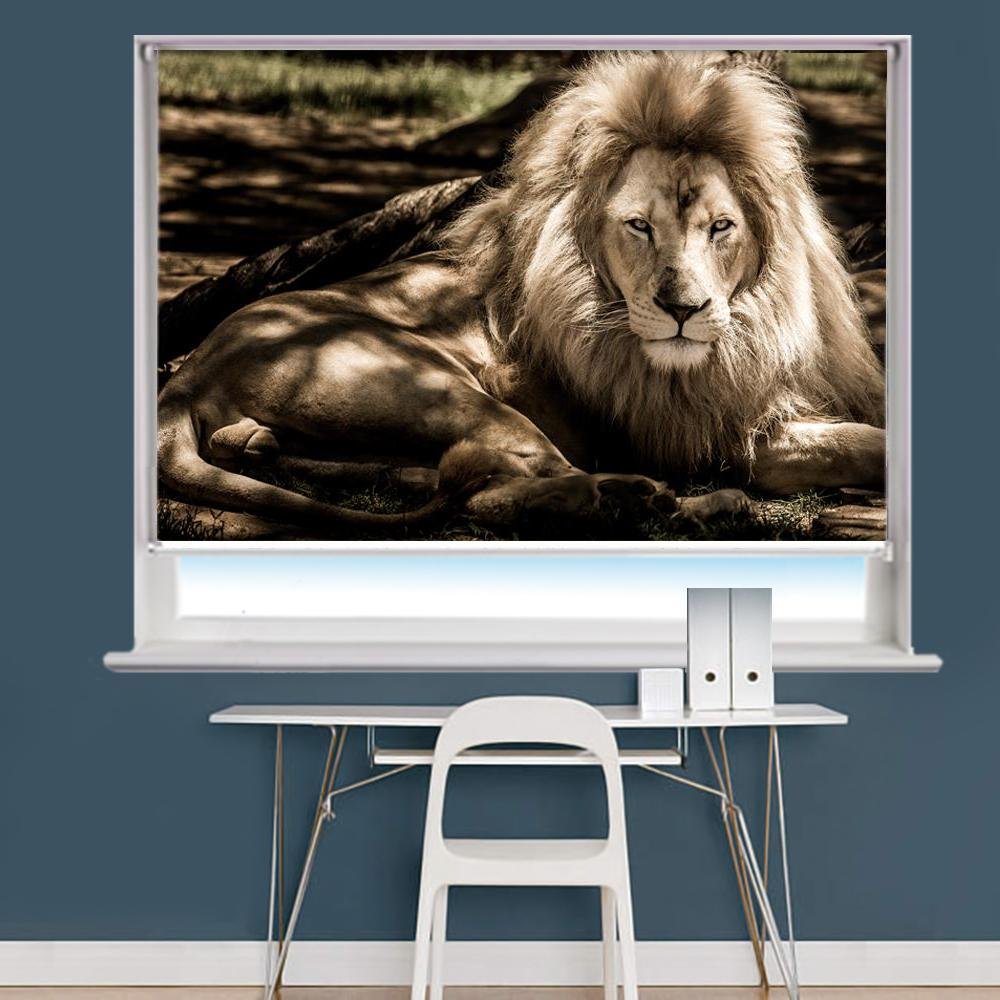 Lion Image Printed Roller Blind - RB846 - Art Fever - Art Fever