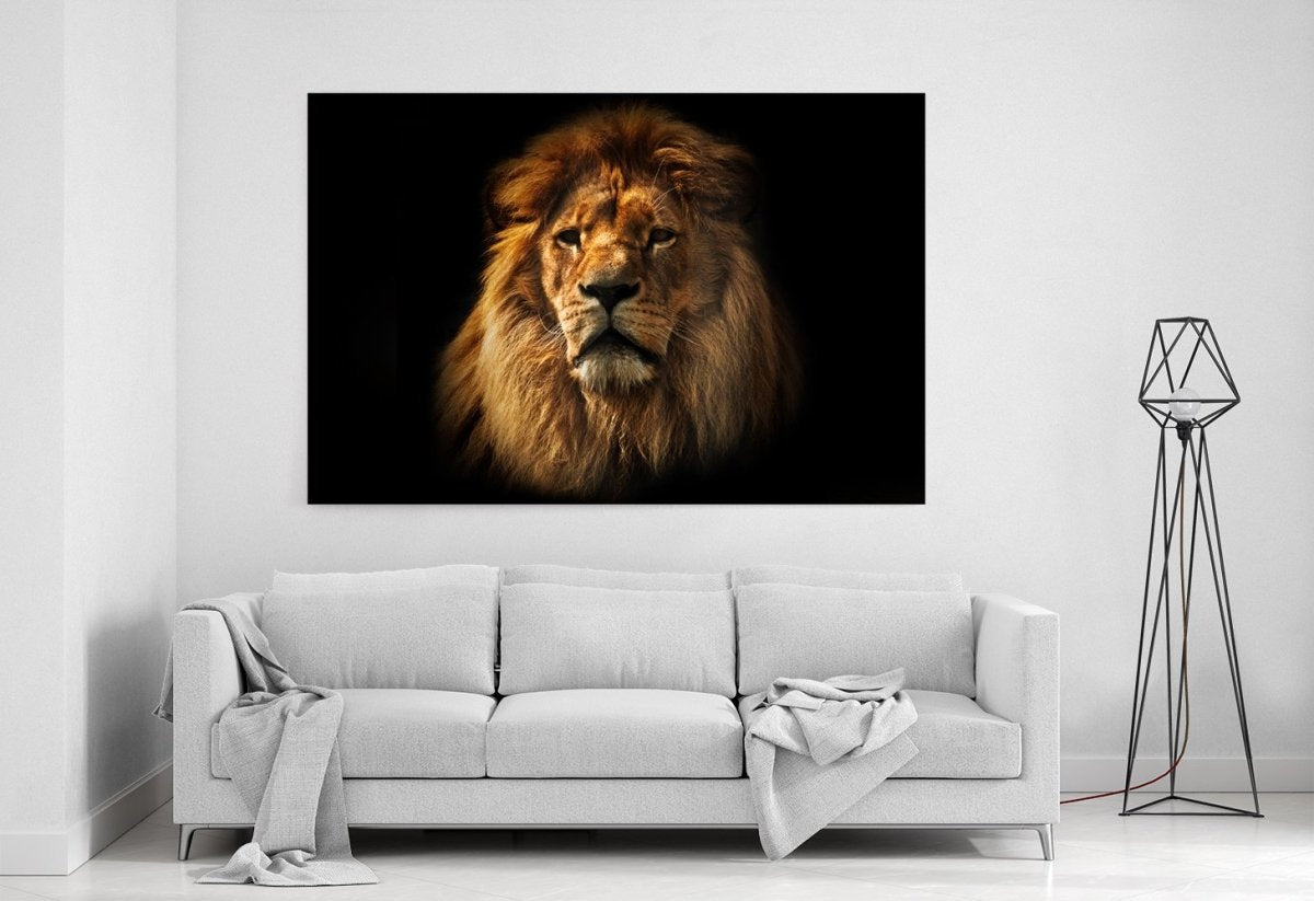 Lion Portrait On Black Background Canvas Print Picture - SPC271 - Art Fever - Art Fever