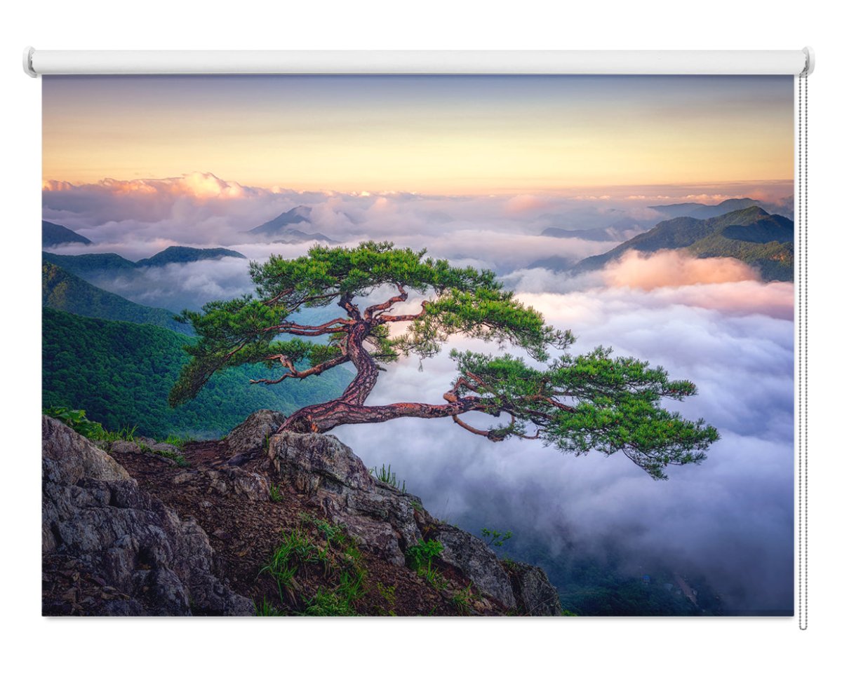 Lonely Bonsai Tree over the Sea of Clouds Printed Photo Roller Blind - 1X1897858 - Art Fever - Art Fever