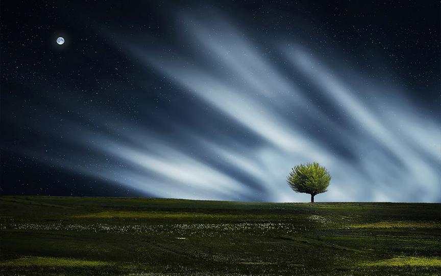 Lonely Green Tree under the Moon Printed Picture Photo Roller Blind - RB616 - Art Fever - Art Fever