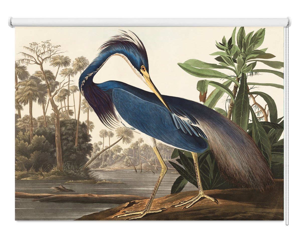 Louisiana Heron from Birds of America (1827) by John James Audubon Printed Photo Roller Blind - RB1263 - Art Fever - Art Fever