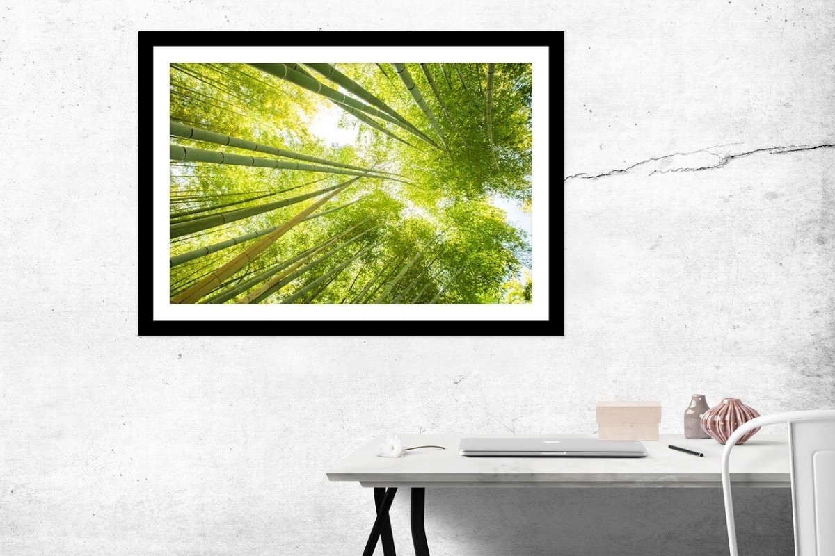 Low Angle View Of Bamboo Forest Framed Mounted Print Picture - FP31 - Art Fever - Art Fever