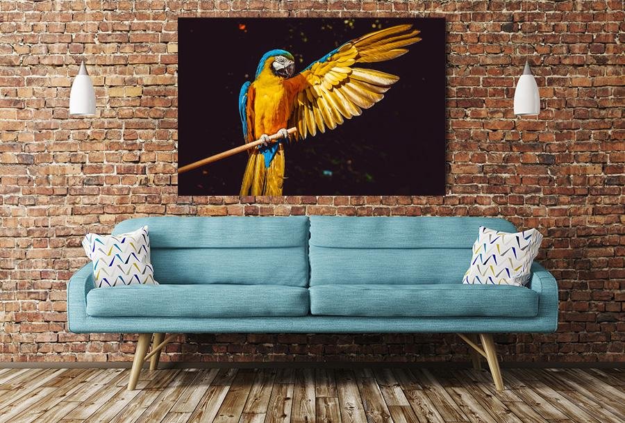 Macaw Parrot Image Printed Onto A Single Panel Canvas - SPC73 - Art Fever - Art Fever